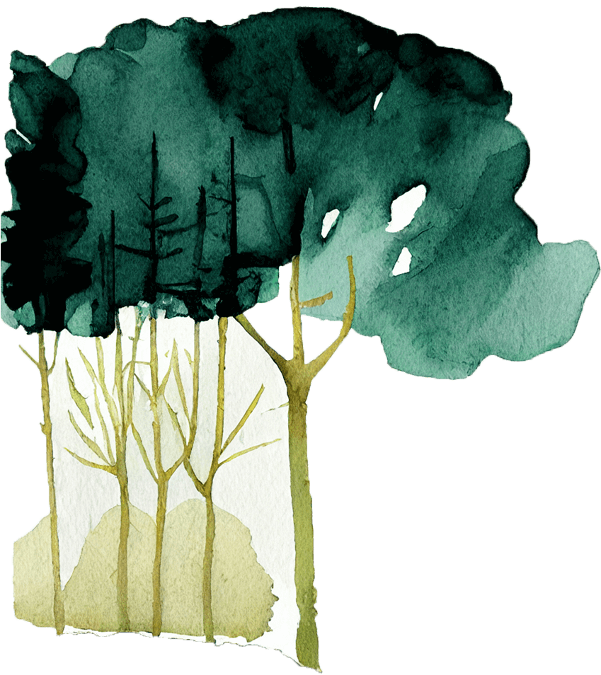 Nitrogen Background